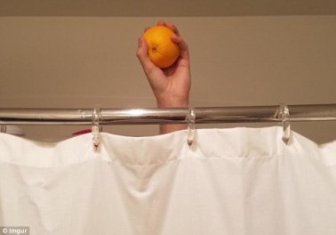 3D85F29900000578-4248870-image-a-11_1487775771745